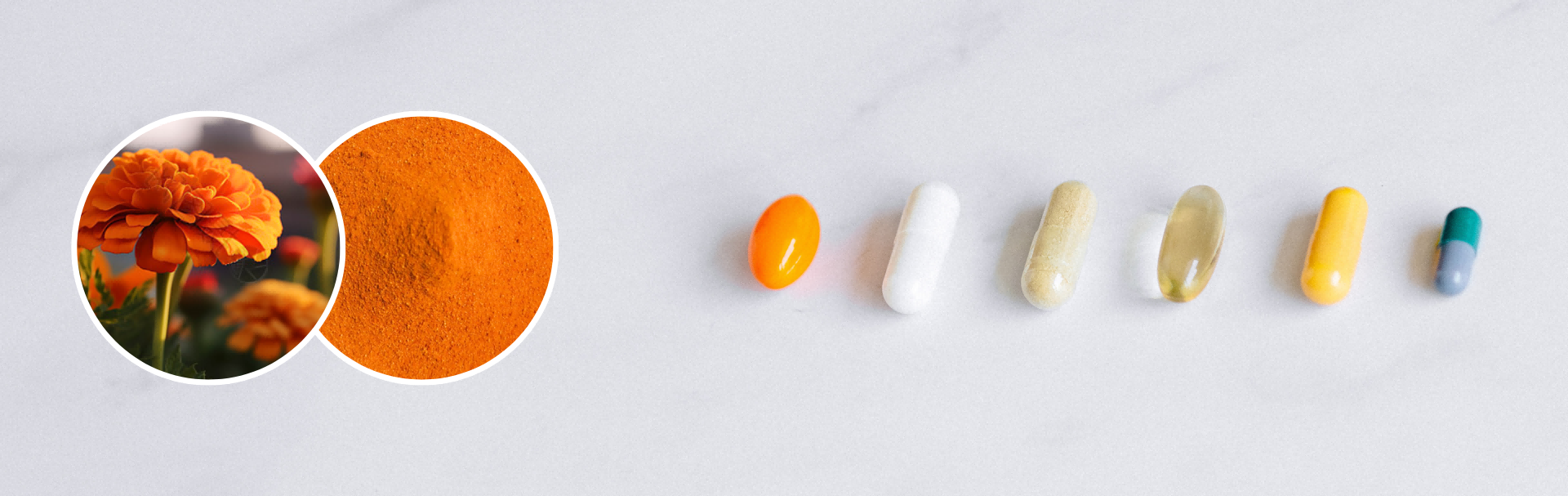 Natural solutions for your fine nutra(1).png